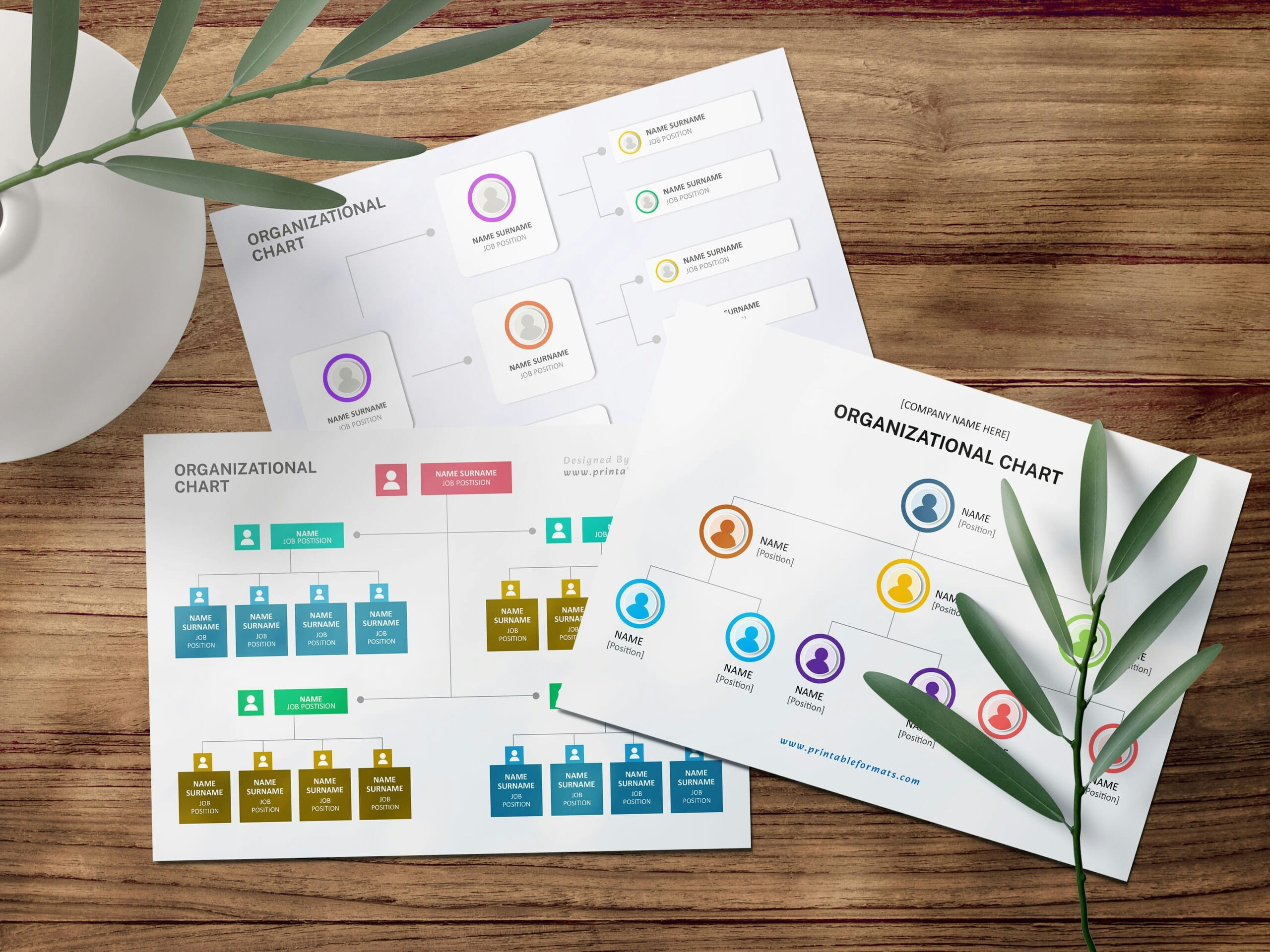Infografías que muestran varios organigramas coloridos sobre mesa de madera con ramas verdes, diseño claro y jerarquía visual.