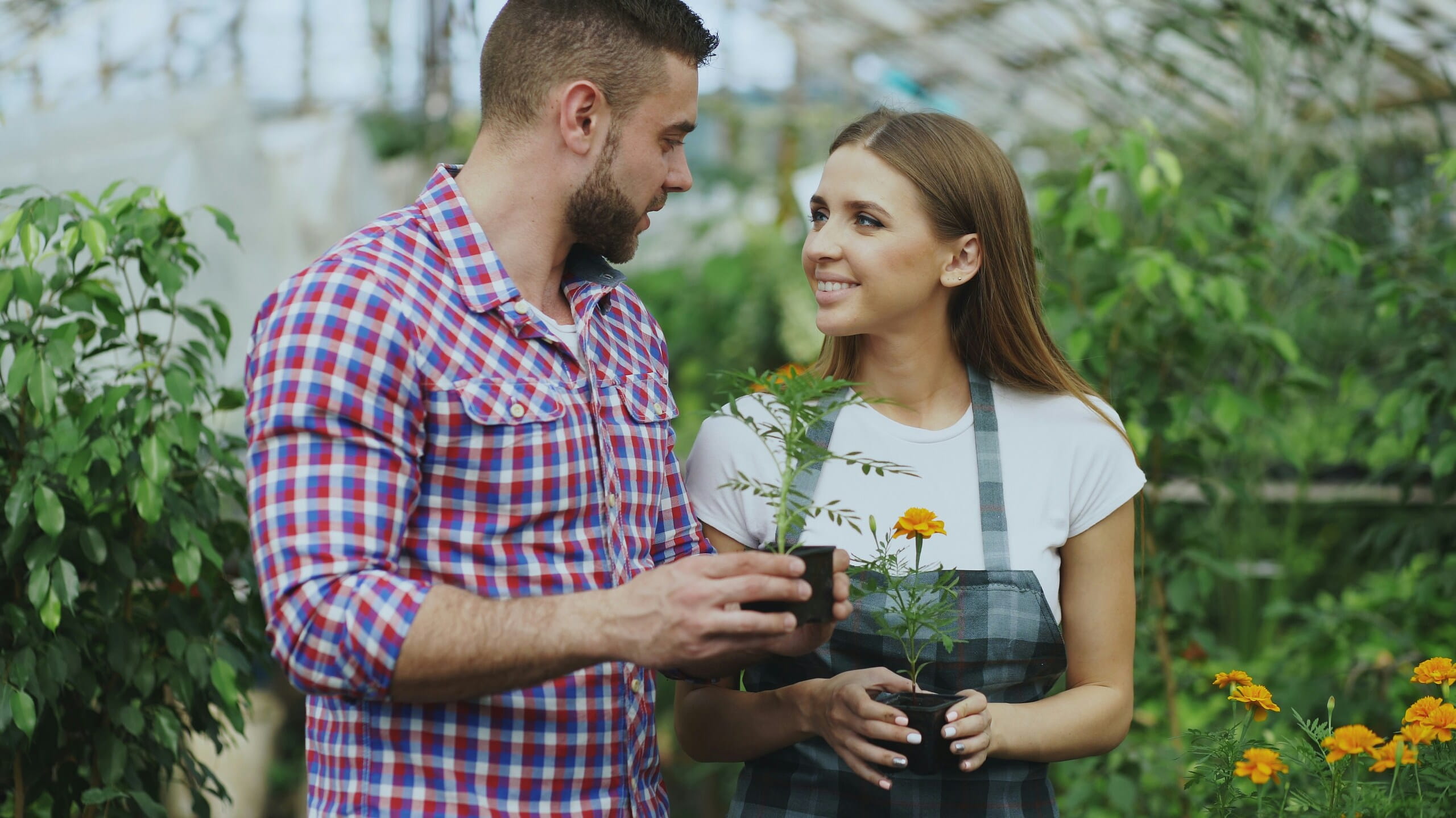Pareja en vivero comparando plantas mientras discuten estrategias sobre La importancia del SEO local para tu negocio.